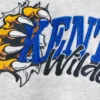 Boxy University of Kentucky Wildcats Graphic Hoodie